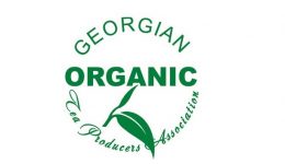 Georgian organic tea producers assosiation