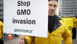 stop GMO