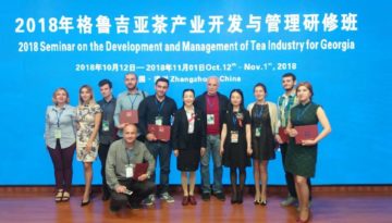 Georgian group in China