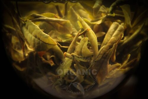 Georgian-wild-white-tea2